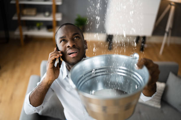 Best Water damage restoration near me  in Lake Erie Beach, NY