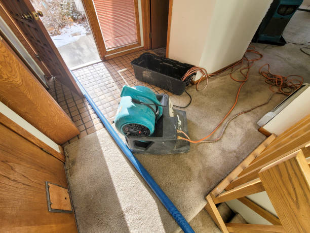 Best Professional water damage repair  in Lake Erie Beach, NY