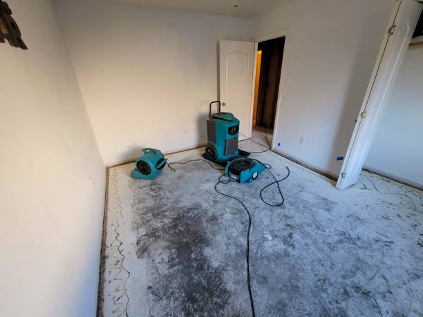 Best Flood restoration services  in Lake Erie Beach, NY