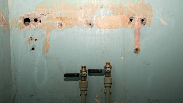 Carpet water damage restoration in Lake Erie Beach, NY