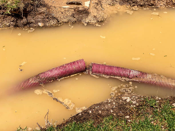 Best Emergency water damage restoration  in Lake Erie Beach, NY