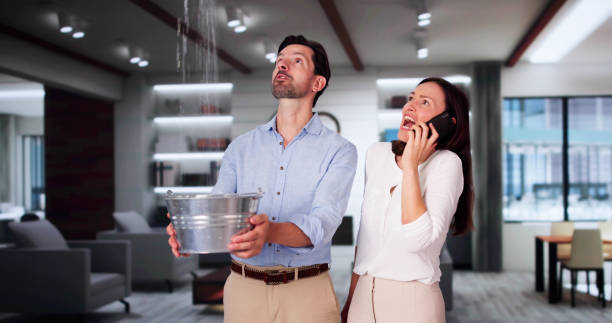Professional Water damage restoration in Lake Erie Beach, NY